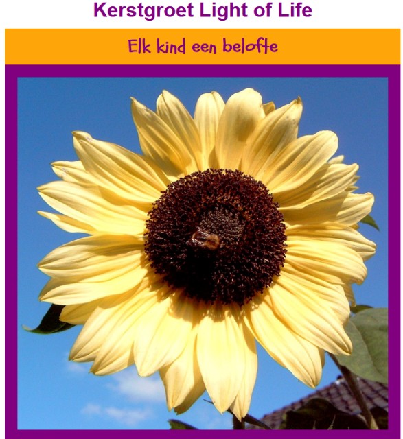 Light of Life wenst u fijne feestdagen en een goed 2021!